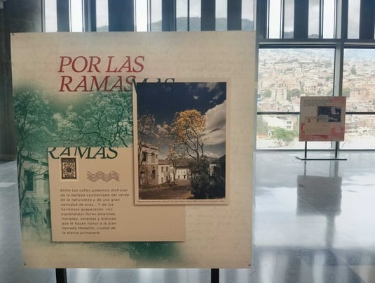 Cartas a Medellín