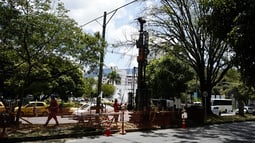 Avanzan las actividades de preconstrucción del Metro de la 80