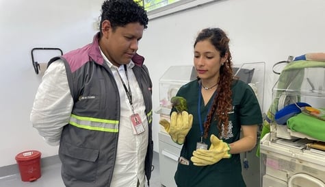 Convenio entre el Metro y la Universidad de Antioquia para proteger la fauna da sus primeros resultados