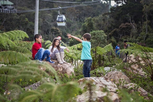El Metro de Medellín extiende el beneficio tarifario en el cable turístico Arví para los pasajeros con Sisbén de todo el territorio nacional