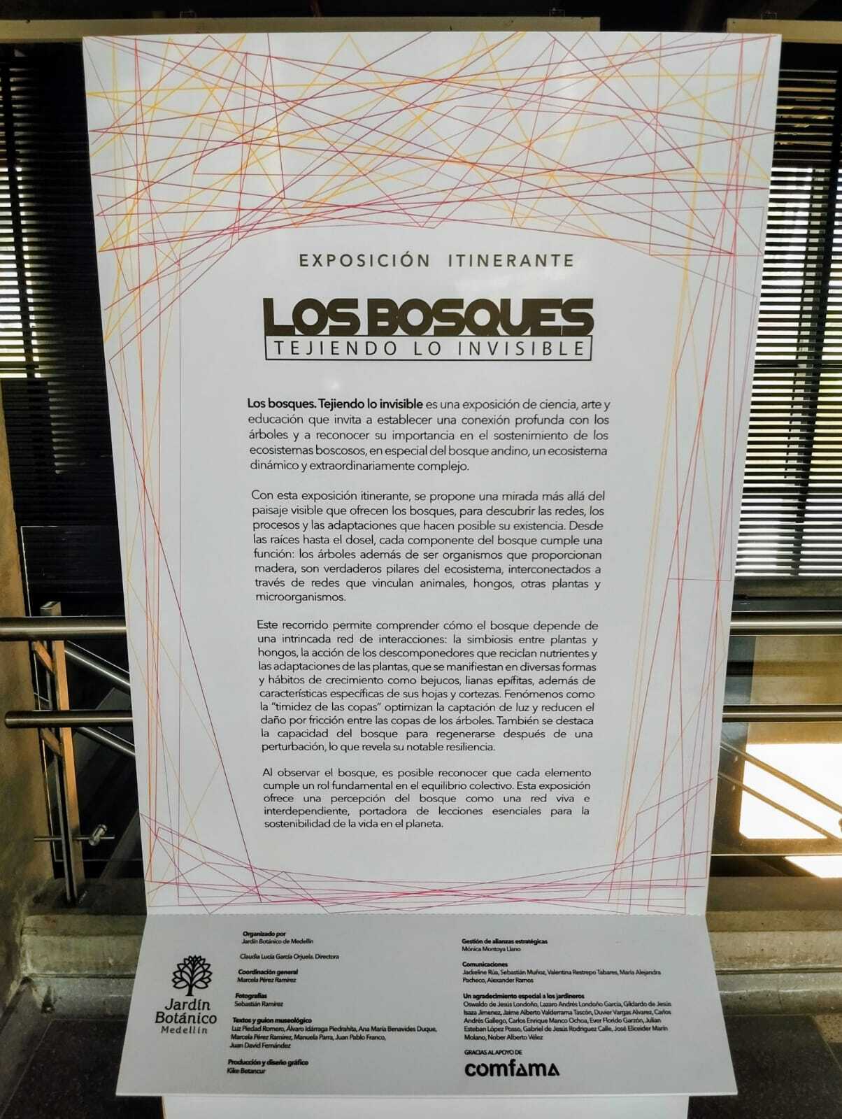 Los Bosques_ACE 2