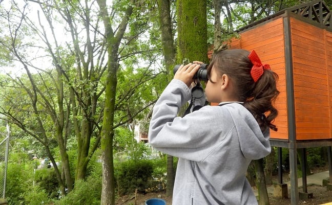 Iniciamos talleres de avifauna en instituciones educativas cerca al proyecto Metro de la 80