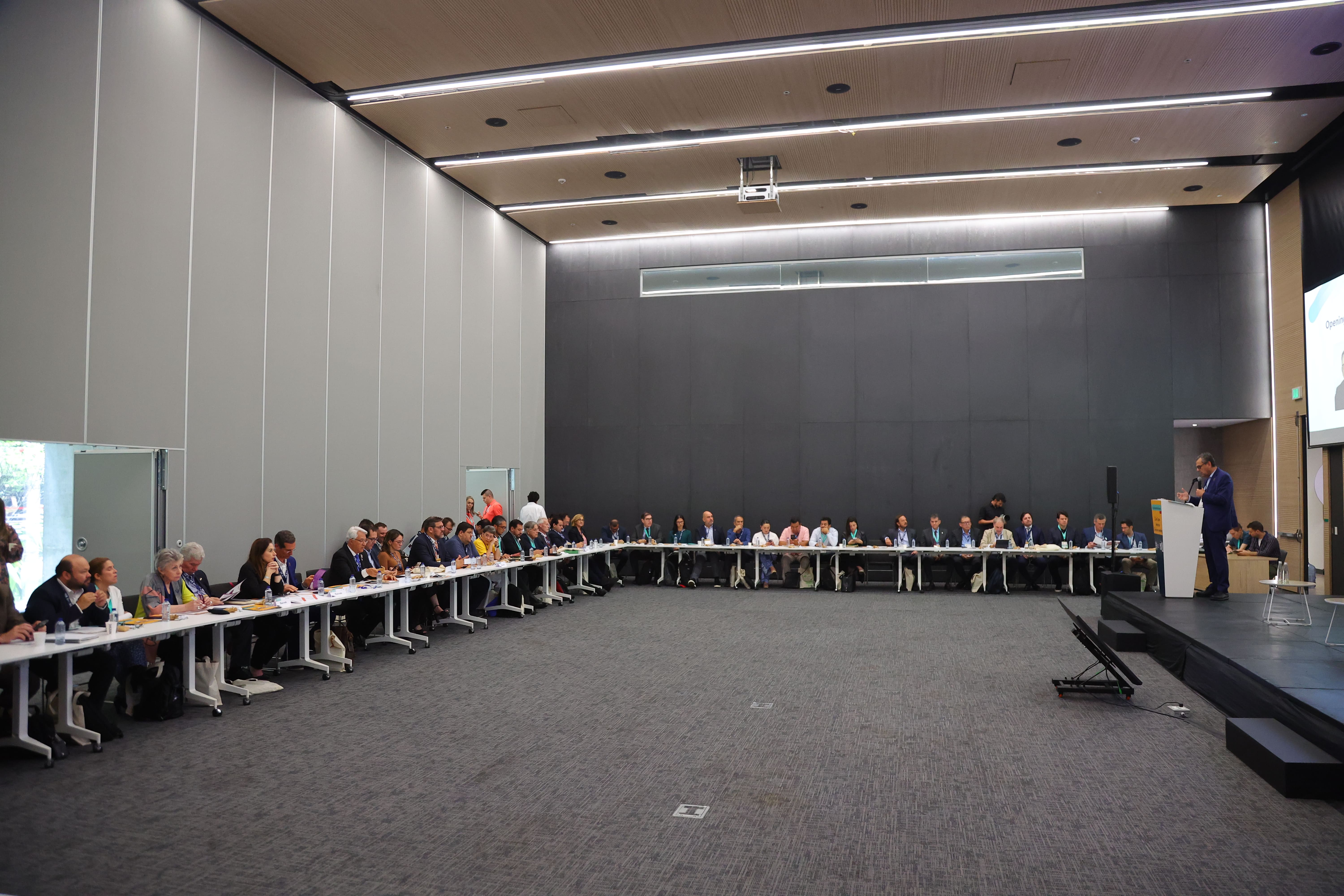 Reunion America Latina (5)