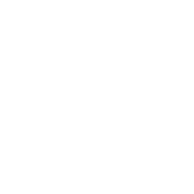icon-c6