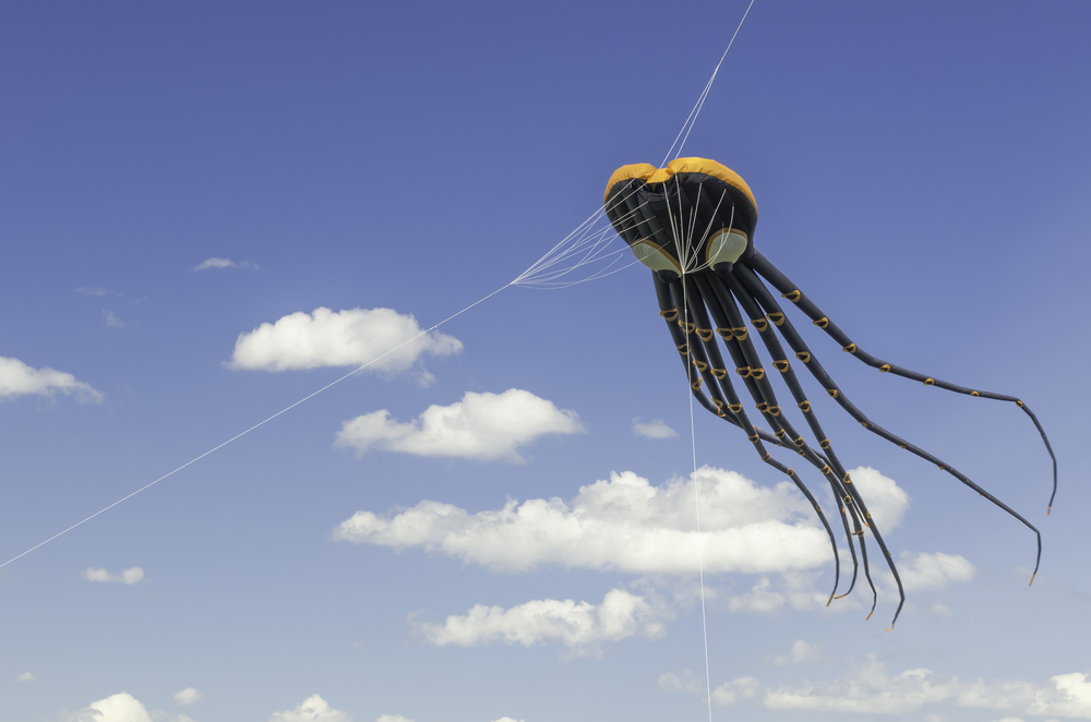 Kite shaped like an octopus flying on multiple tethers