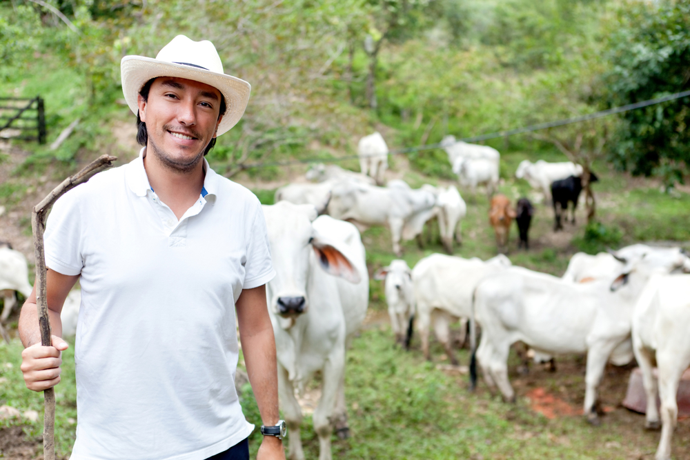 Male rancher in a farm with cattle at the background